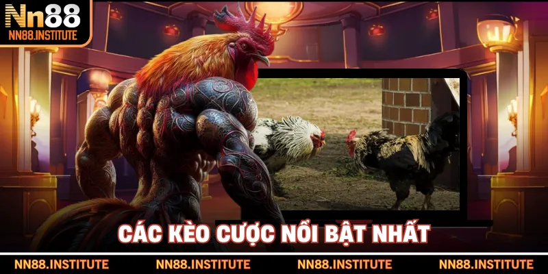 Các kèo cược nổi bật nhất