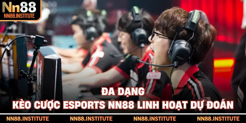 Đa dạng kèo cược Esports NN88 linh hoạt dự đoán