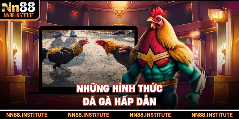 Những hình thức đá gà hấp dẫn
