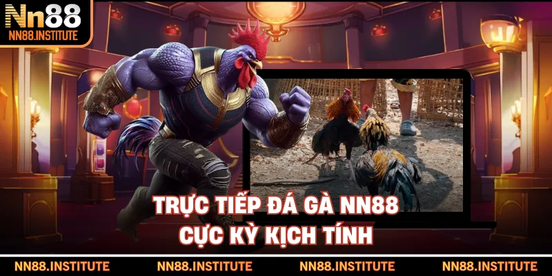 Trực tiếp đá gà NN88 cực kỳ kịch tính